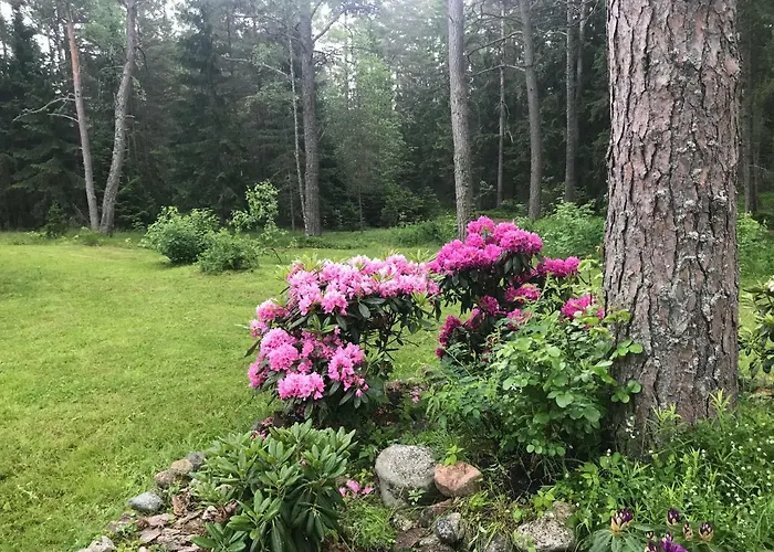 Meresihi Talu Vainupea